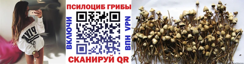 купить наркотики сайты  shop какой сайт  Псилоцибиновые грибы Magic Shrooms  Озёры 